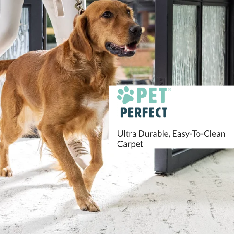 Pet Perfect Carpet from Keystone Carpet in Omaha, Nebraska